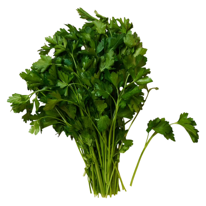 Organic Parsley - 1ct