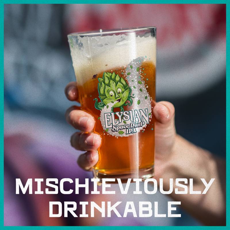 Elysian Space Dust Variety 12pk 12oz Can