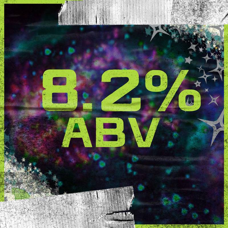 Elysian Brewing IPA Variety Pack 12pk 12oz Btl