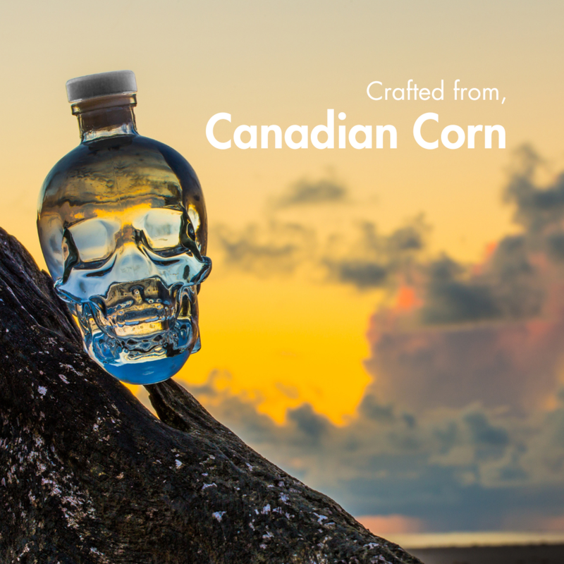 Crystal Head Vodka 750ml (80 Proof)