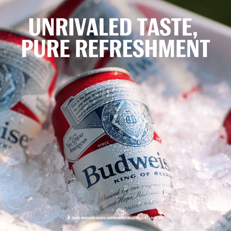 Budweiser 24pk 16oz Can 5% ABV