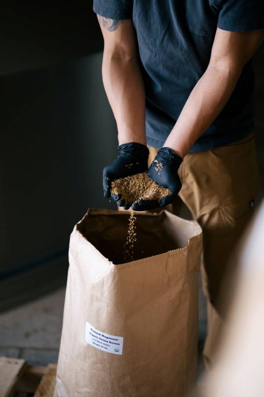 Patagonia Organic Non-Alcoholic IPA 6pk 12oz Can