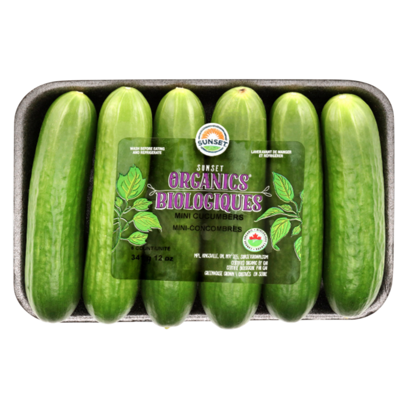 Organic Mini Seedless Cucumbers - 6ct