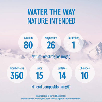 Evian Natural Spring Water 1 Liter