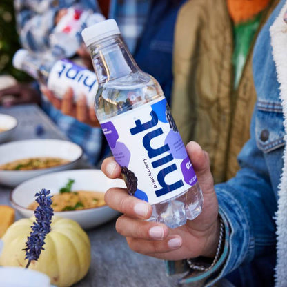 Hint Blackberry Water 16oz Btl