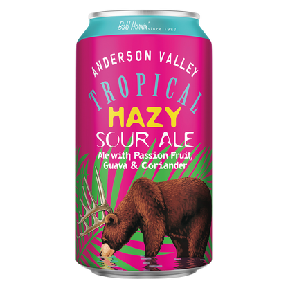 Anderson Valley Brewing Company Hazy Tropical Sour Ale 6pk 12oz Can 4.2% ABV