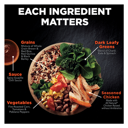 Healthy Choice Frozen Power Bowls Adobo Chicken Meal 9.75oz