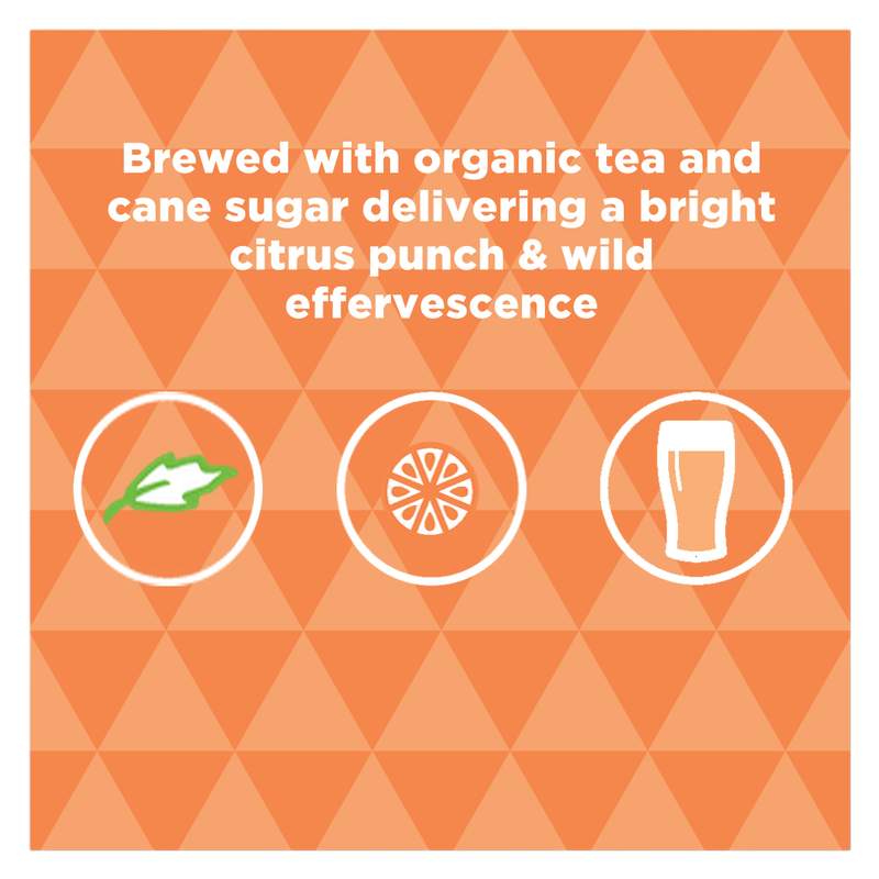 Strainge Beast Mimosa 6pk 12oz Cans