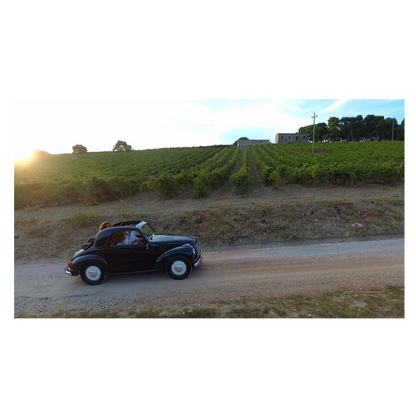 Caruso e Minini Frappato Nerello Mascalese 2020 750ml