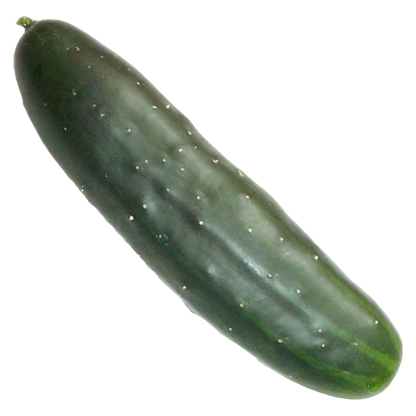 Organic Cucumber - 1ct