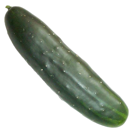 Organic Cucumber - 1ct