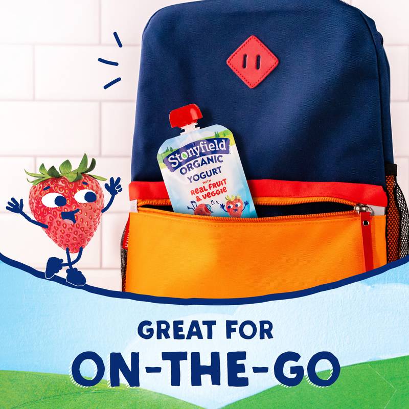 Stonyfield Organic Kids Whole Milk Yogurt Pouches- 4ct