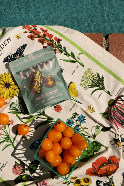 Gato Dates Chocolate Covered Dates with Pistachio Butter, 3.791 oz