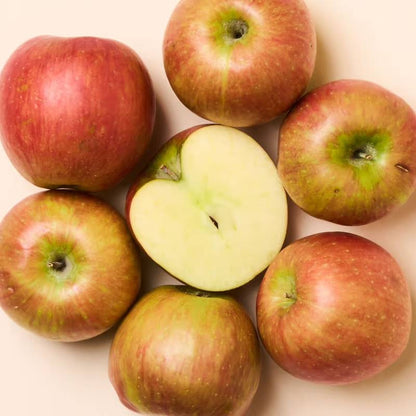 Organic Cosmic Crisp Apples - 2lbs