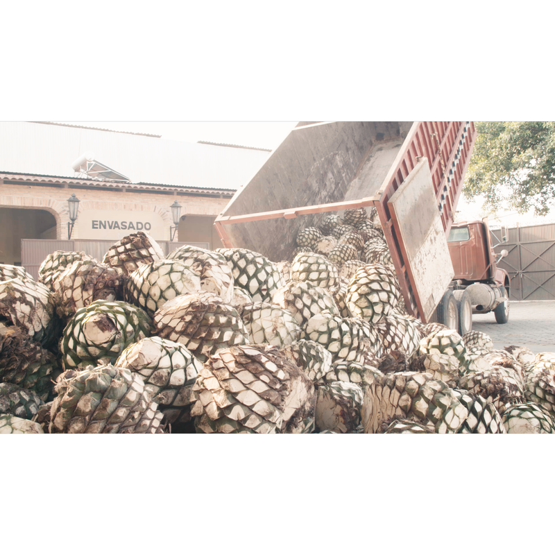 Cincoro Reposado Tequila 750ml (80 proof)