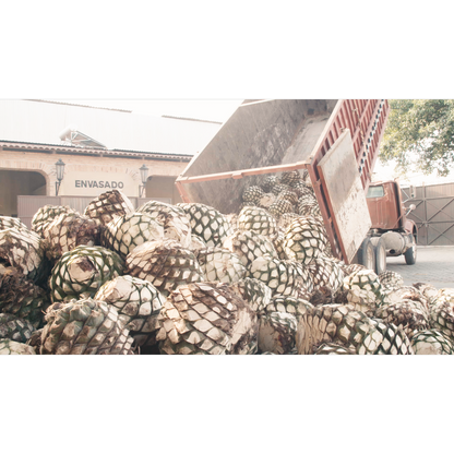 Cincoro Reposado Tequila 750ml (80 proof)