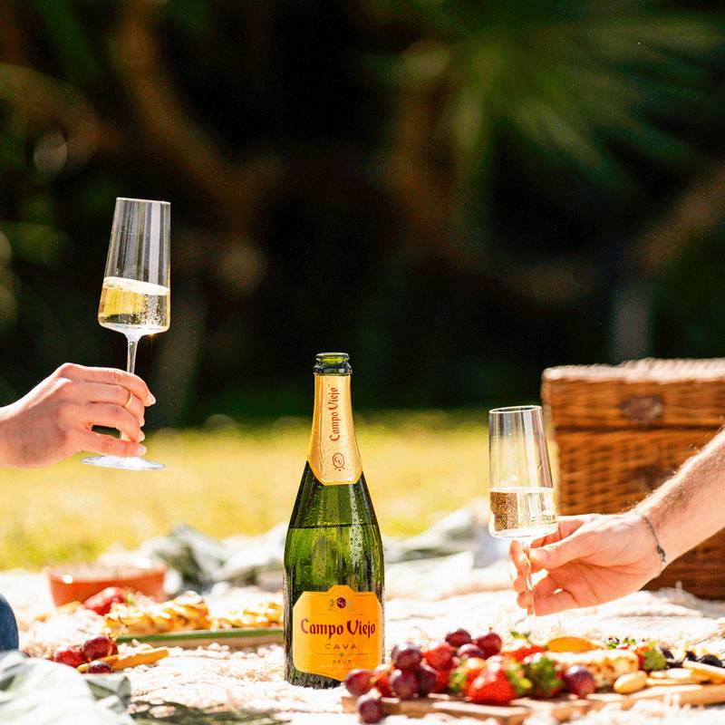 Campo Viejo Cava Brut Reserva 750ml 12% ABV