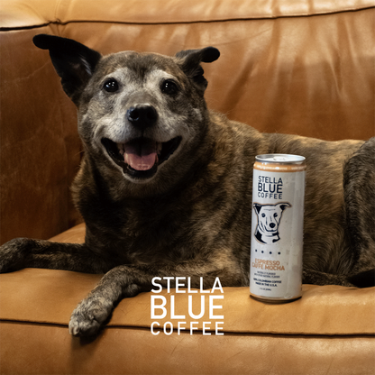 Stella Blue Coffee Espresso Caffe Mocha, 11 oz