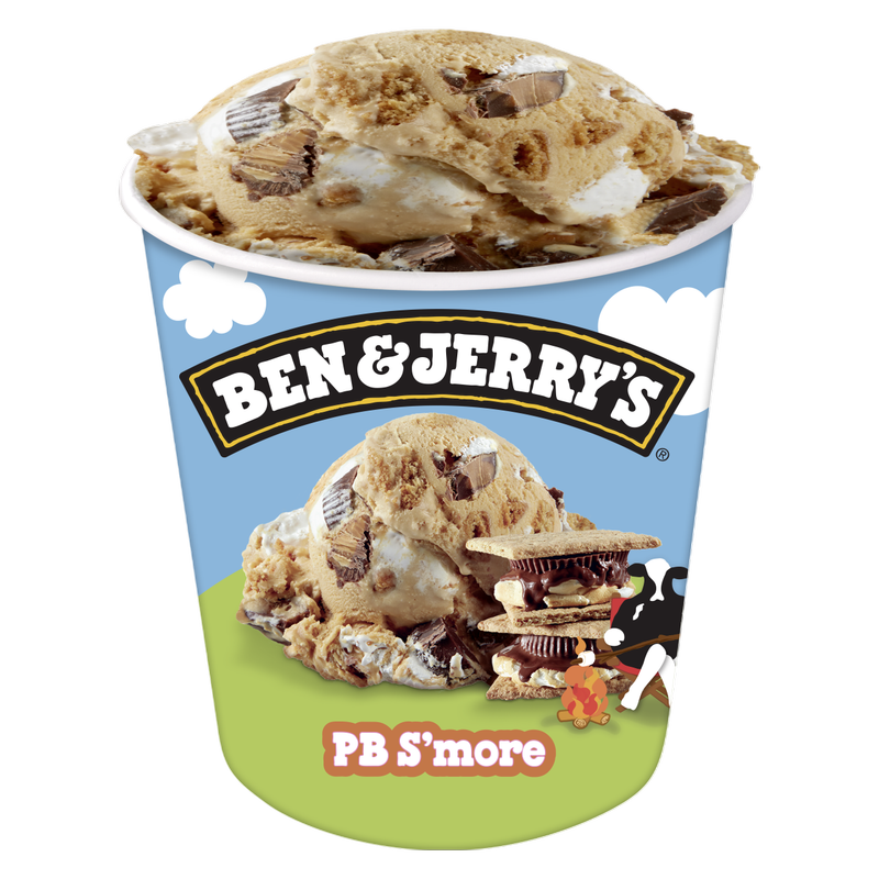 Ben & Jerry's Peanut Butter S'more Ice Cream Pint