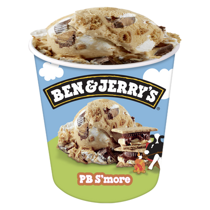 Ben & Jerry's Peanut Butter S'more Ice Cream Pint