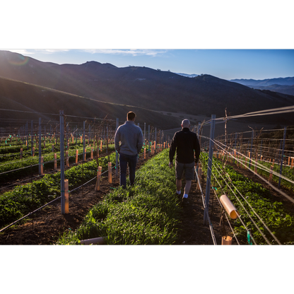 Brewer-Clifton Santa Rita Hills Pinot Noir 750ml