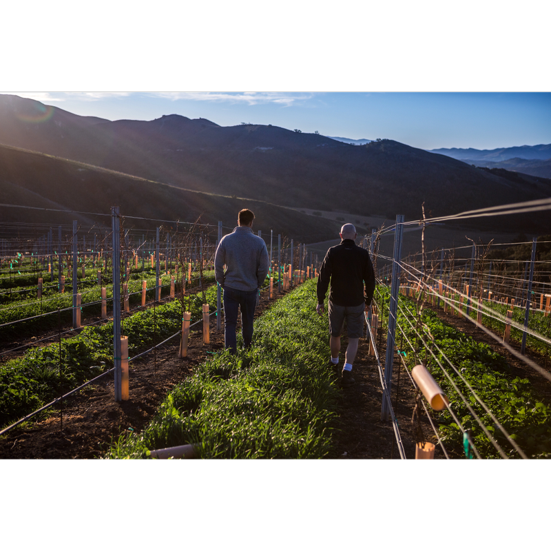 Brewer-Clifton Chardonnay SRH 750ml