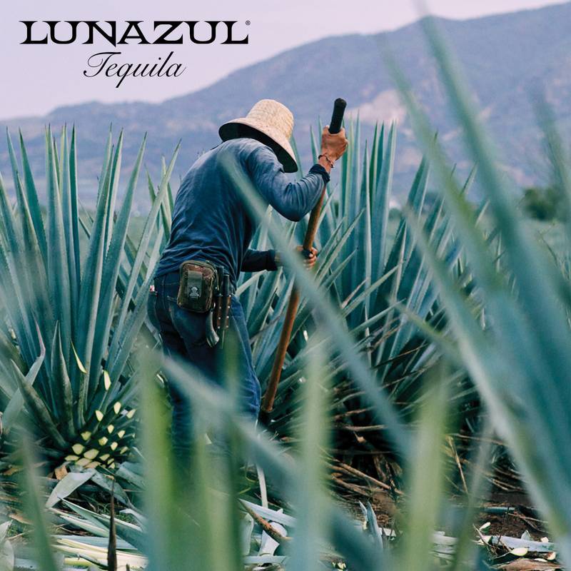 Lunazul Anejo Tequila 750ml
