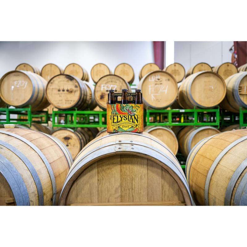 Elysian Brewing Dragonstooth Stout 6pk 12oz Btl