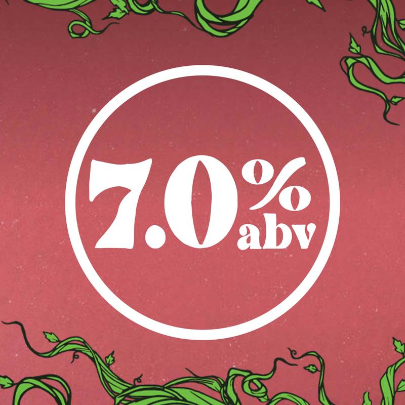 Strainge Beast Hard Kombucha Ginger Lemon Hibiscus 6pk 12oz Can