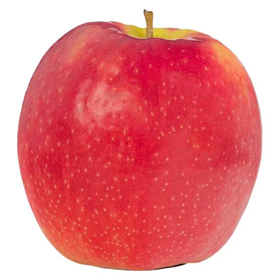 Organic Pink Lady Apple - 1ct