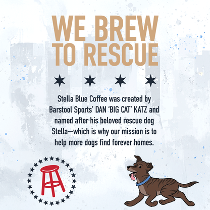 Stella Blue Coffee Espresso Caffe Mocha, 11 oz