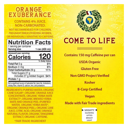 Guayaki Yerba Mate Organic Orange Exuberance 15.5oz Can