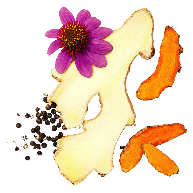 Vive Organic Immunity Boost Original Ginger & Turmeric Shot 2oz Btl