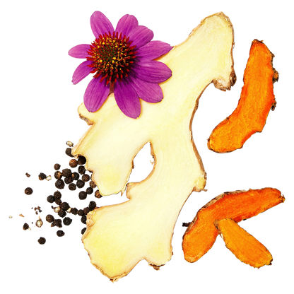 Vive Organic Immunity Boost Original Ginger & Turmeric Shot 2oz Btl