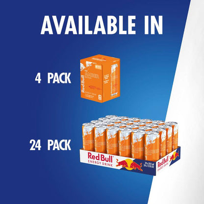 Red Bull Energy Drink The Amber Edition Strawberry Apricot 24pk 12oz Can- XL
