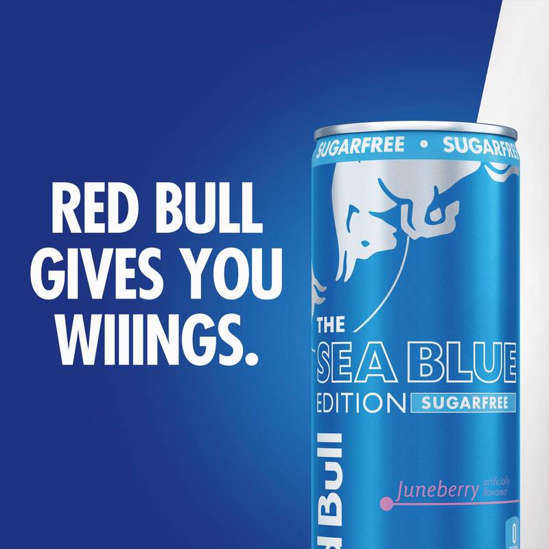 Red Bull Sugar Free Energy Drink The Sea Blue Edition Juneberry 12oz Can