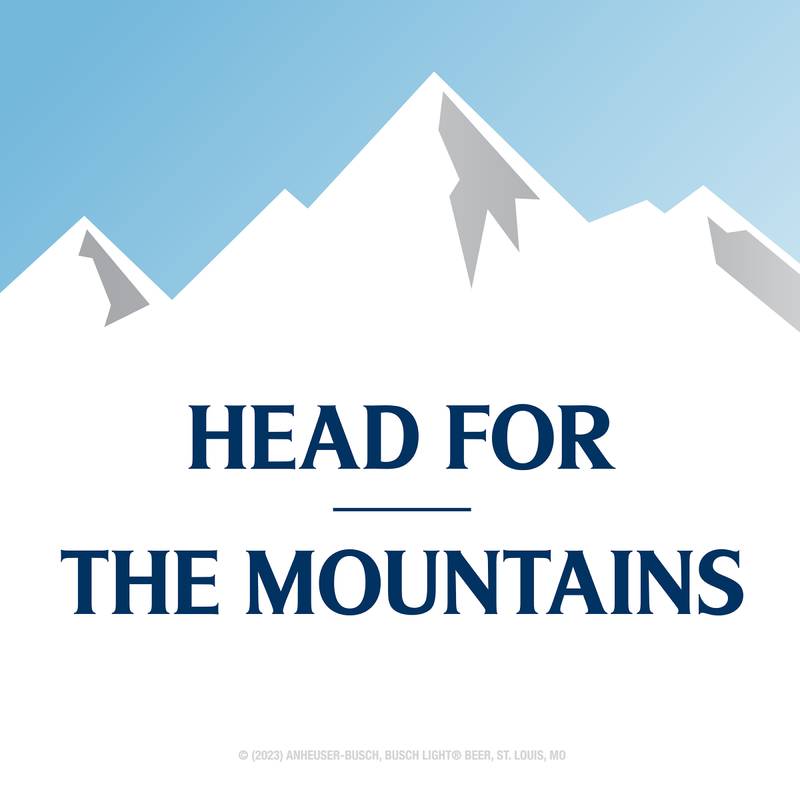 Busch Light 6pk 16oz Can 4.1% ABV