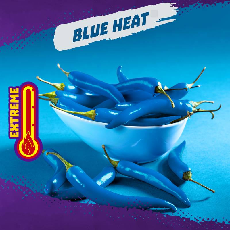 Takis Blue Heat Spicy Rolled Tortilla Chips Snack Size Bag 3.25oz