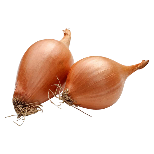 Organic Shallots - 1.5Lbs