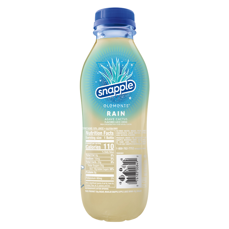 Snapple Elements Rain Agave Cactus 16oz