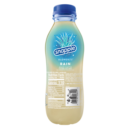 Snapple Elements Rain Agave Cactus 16oz