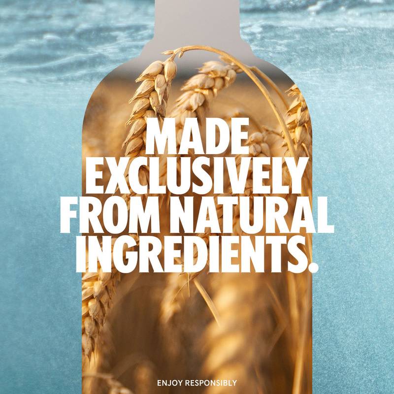 Absolut Vanilla Vodka 1L (76 proof)