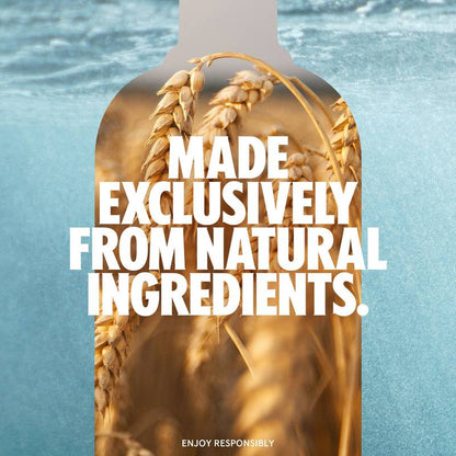 Absolut Watermelon Vodka 1L (76 Proof)