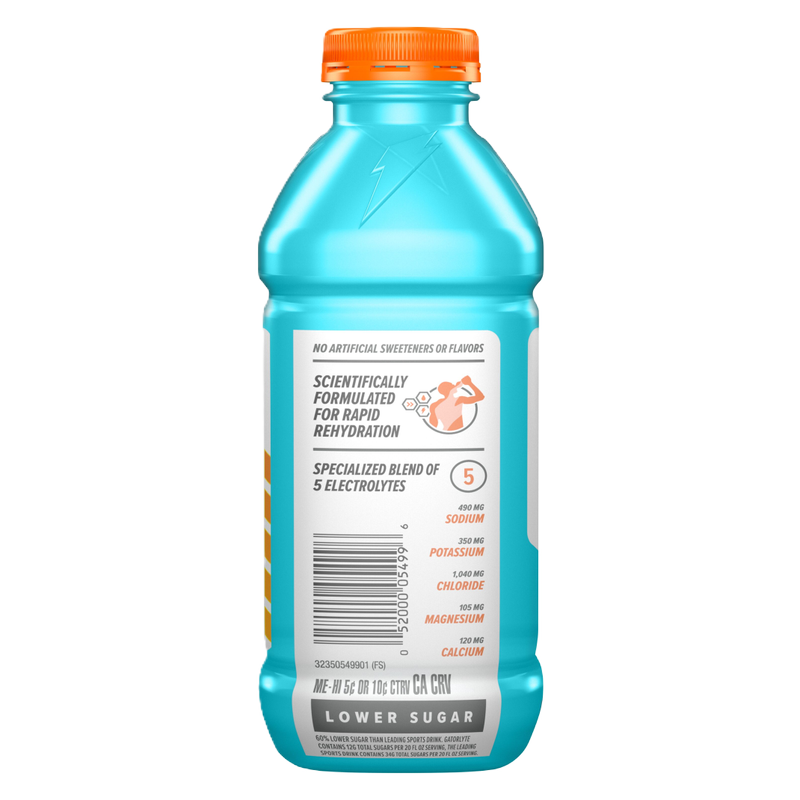 Gatorlyte Glacier Freeze 20oz Btl