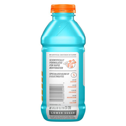 Gatorlyte Glacier Freeze 20oz Btl