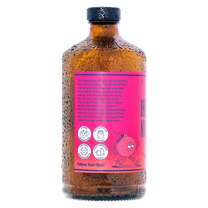 Health-Ade Pomegranate Blueberry Kombucha 16oz Btl