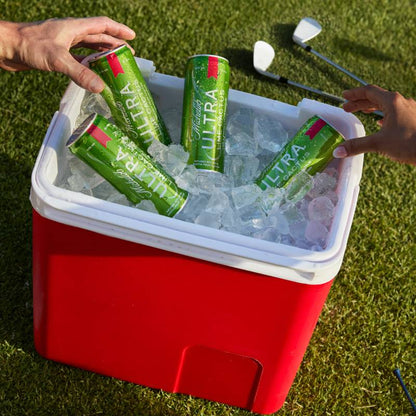 Michelob Ultra Infusions Lime & Prickly Pear Cactus Single 25oz Can