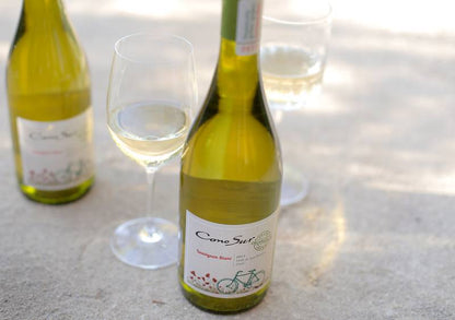 Cono Sur Organic Sauvignon Blanc 750ml