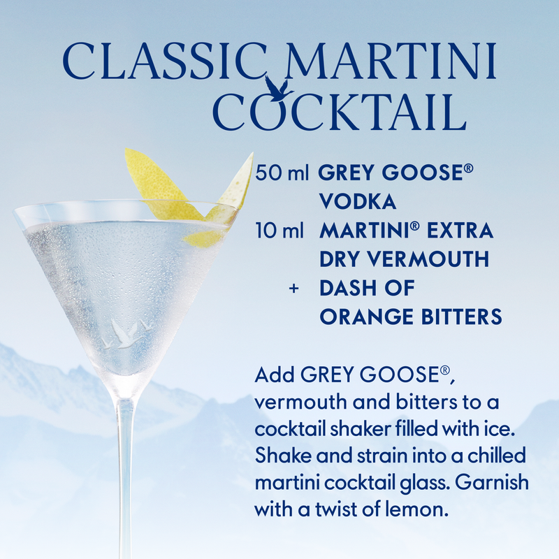 Grey Goose Vodka Gift Set 750ml (80 Proof)