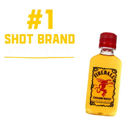 Fireball Cinnamon Whiskey Shotski 10pk 50ml